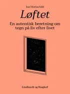 Løftet: En autentisk beretning om tegn på liv efter livet af Joel Rothschild