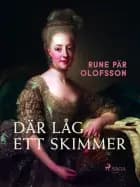 Där låg ett skimmer af Rune Pär Olofsson