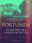 Fortunen. Et skilderi fra fortid og nutid af Palle Adam Vilhelm Rosenkrantz