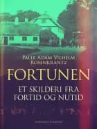 Fortunen: et skilderi fra fortid og nutid