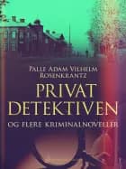 Privatdetektiven og flere kriminalnoveller