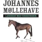 Læsehest med versefødder af Johannes Møllehave