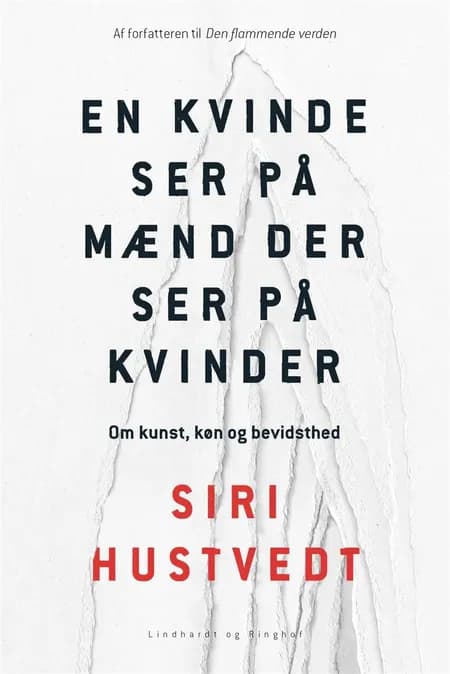 En kvinde ser på mænd der ser på kvinder af Siri Hustvedt