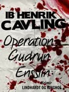 Operation Gudrun Ensslin af Ib Henrik Cavling