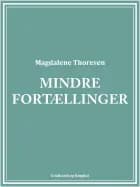 Mindre fortællinger