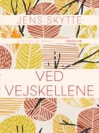 Ved vejskellene af Jens Skytte