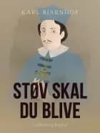 Støv skal du blive