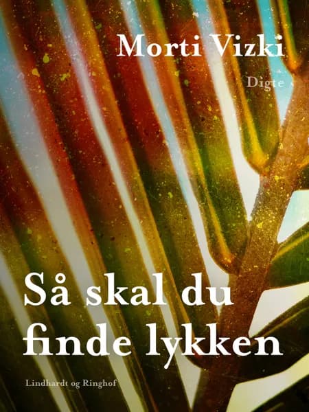 Så skal du finde lykken af Morti Vizki