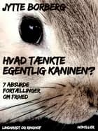 Hvad tænkte egentlig kaninen? 7 absurde fortællinger om frihed af Jytte Borberg