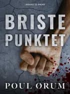 Bristepunktet af Poul Ørum