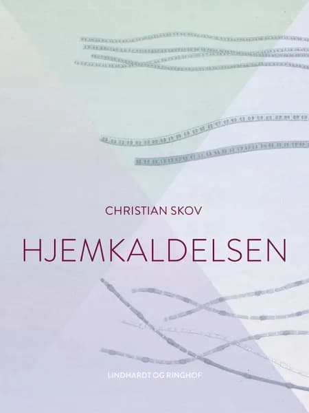 Hjemkaldelsen af Christian Skov