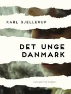Det unge Danmark