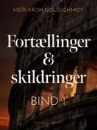 Fortællinger og skildringer (bind 1)