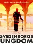 Svedenborgs ungdom af Meïr Aron Goldschmidt
