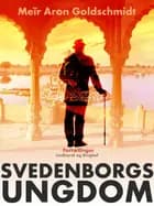 Svedenborgs ungdom
