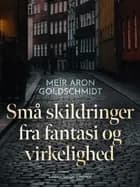 Små skildringer fra fantasi og virkelighed af Meïr Aron Goldschmidt
