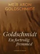 Goldschmidt. En fortrolig fremmed