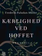 Kærlighed ved hoffet af Frederik Paludan-Müller