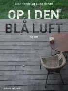 Op i den blå luft