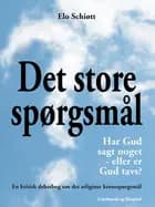 Det store spørgsmål af Elo Schiøtt