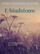 E bindstouw