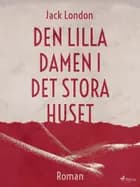 Den lilla damen i det stora huset