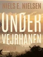 Under vejrhanen