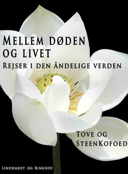 Mellem døden og livet af Steen Kofoed