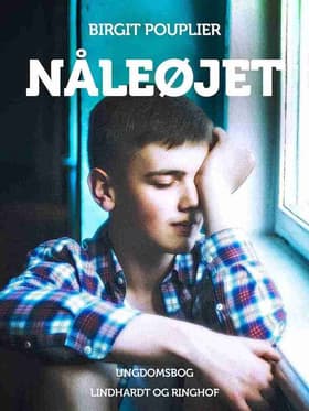 Nåleøjet af Birgit Pouplier