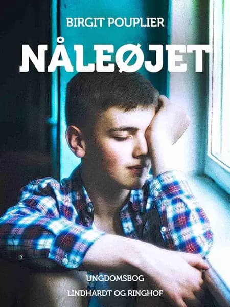 Nåleøjet af Birgit Pouplier