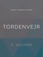 Tordenvejr