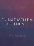 En nat mellem fjeldene