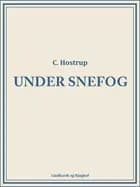 Under snefog