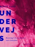 Undervejs. Beretninger fra de sidste års indre landskaber