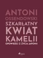 Szkarłatny kwiat kamelii. Opwiesci z zycia Japonii