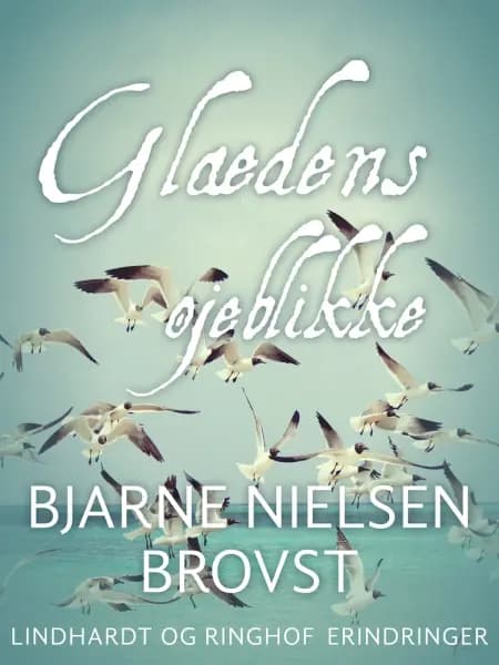 Glædens øjeblikke af Bjarne Nielsen Brovst