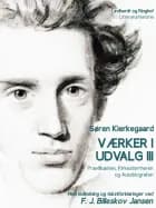 Værker i udvalg 3 - Prædikanten, Kirkestormeren og Autobiografen