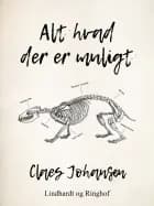 Alt hvad der er muligt