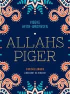 Allahs piger af Vibeke Heide-Jørgensen
