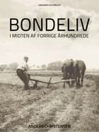 Bondeliv i midten af forrige århundrede af Anders Christensen