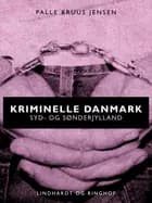 Kriminelle Danmark. Syd & Sønderjylland