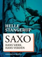 Saxo: hans værk, hans verden