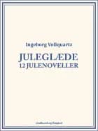 Juleglæde: 12 julenoveller