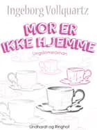 Mor er ikke hjemme af Ingeborg Vollquartz