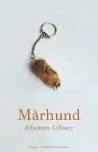 Mårhund