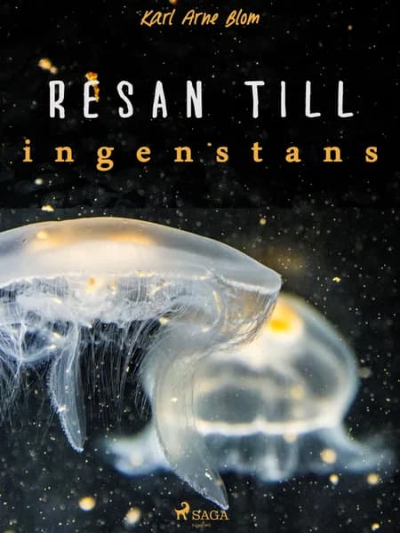 Resan till ingenstans af Karl Arne Blom