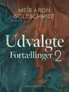 Udvalgte Fortællinger