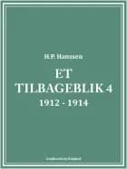 Et tilbageblik 4