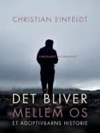 Det bliver mellem os - et adoptivbarns historie
