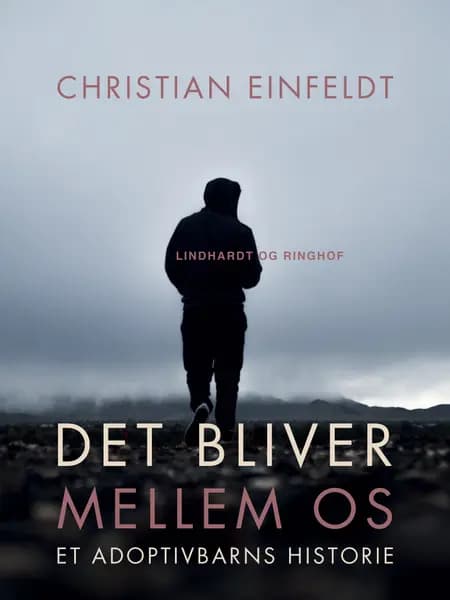 Det bliver mellem os af Christian Einfeldt